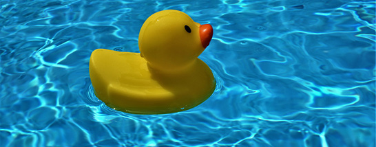 Infoblock Veranstaltungen Badeente im Pool © Pixabay