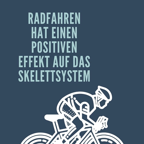 Fahrrad-Fakten - Radfahren unterstützt Skelettsystem © Stadt Meppen